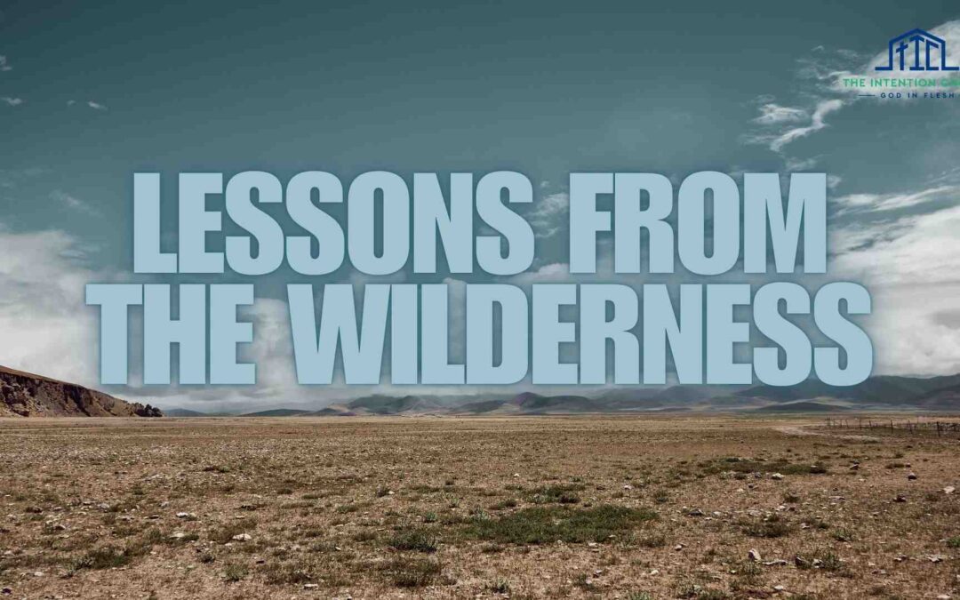 Lessons from the Wilderness