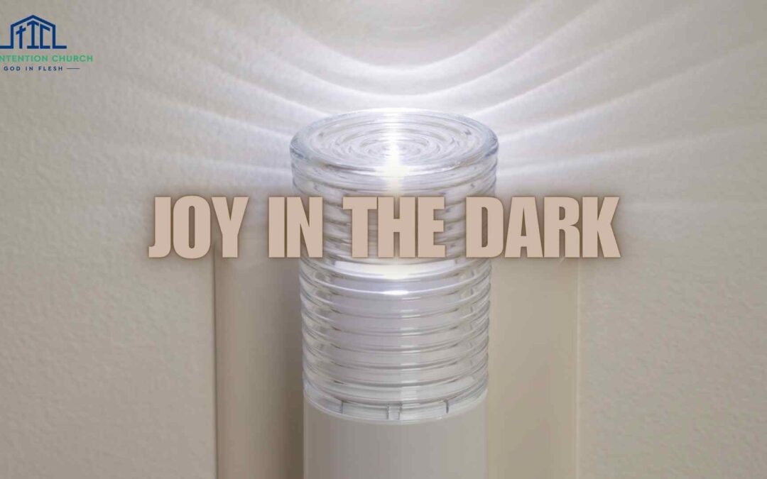 Joy in the Dark