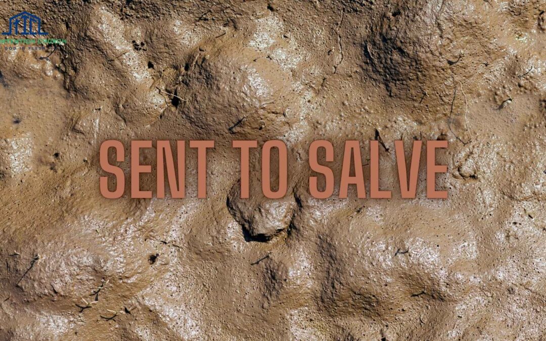 Sent to Salve